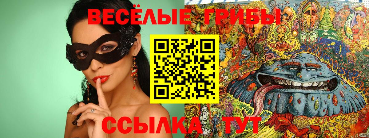 Галлюциногенные грибы GOLDEN TEACHER Омск