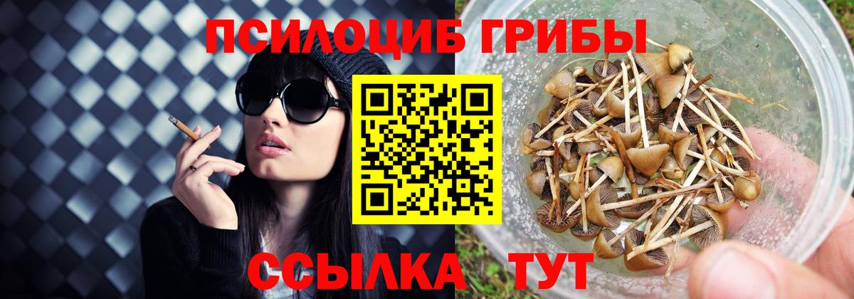 Омск  Галлюциногенные грибы Cubensis  где купить наркоту  Галлюциногенные грибы Cubensis  Вход с VPN 
