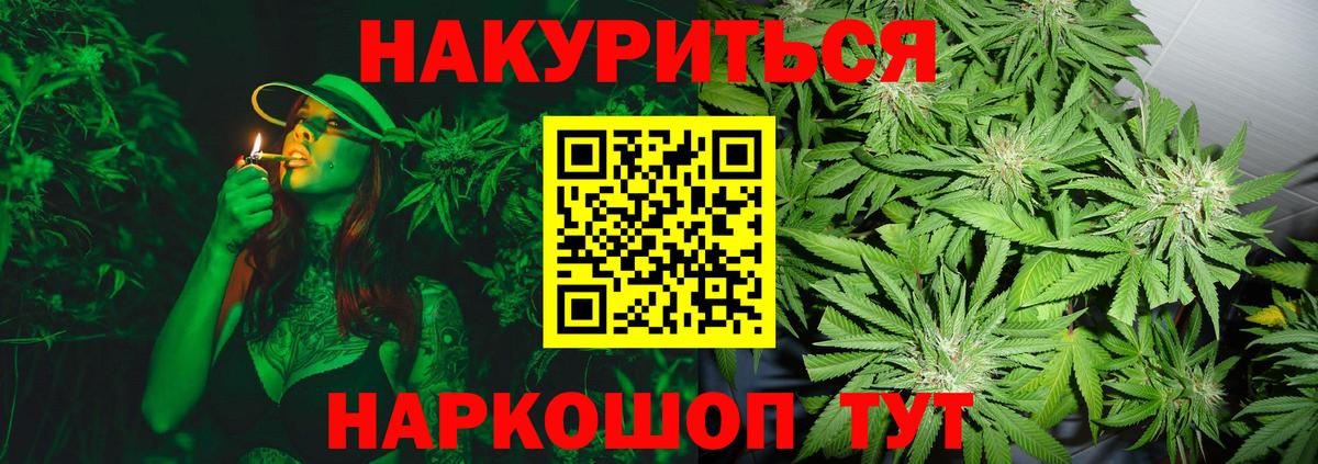 Каннабис план Омск
